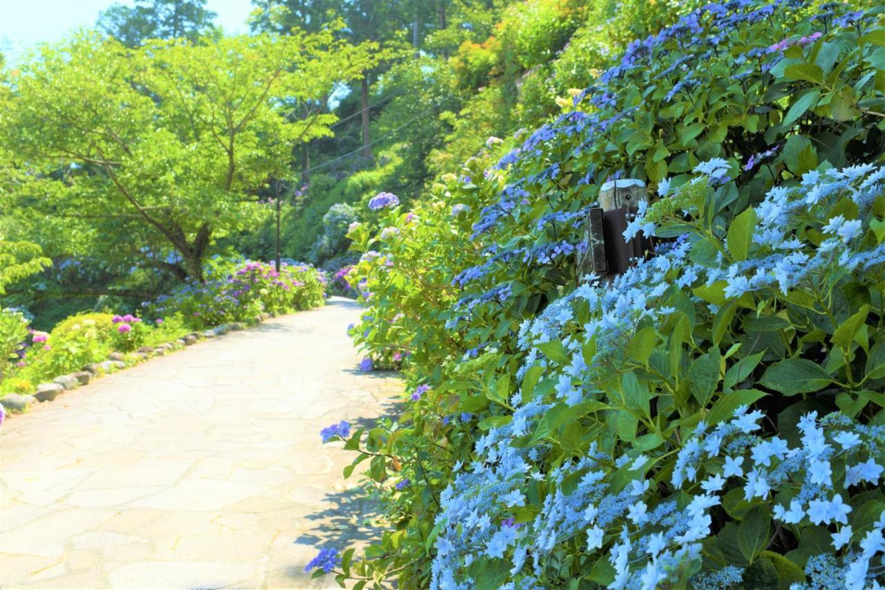 Sunny Side Cottage Shimoda  Bagian luar foto