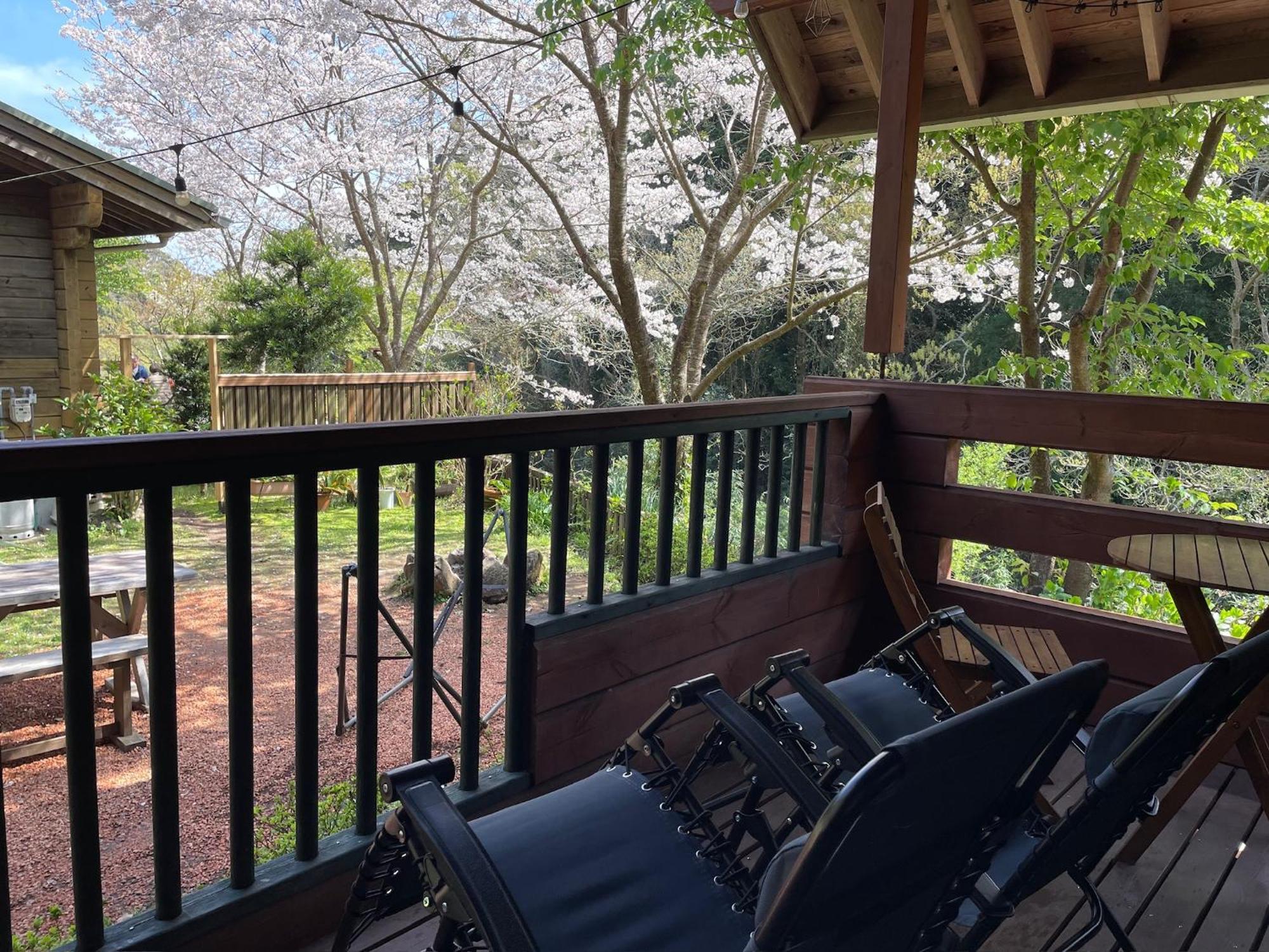 Sunny Side Cottage Shimoda  Bagian luar foto
