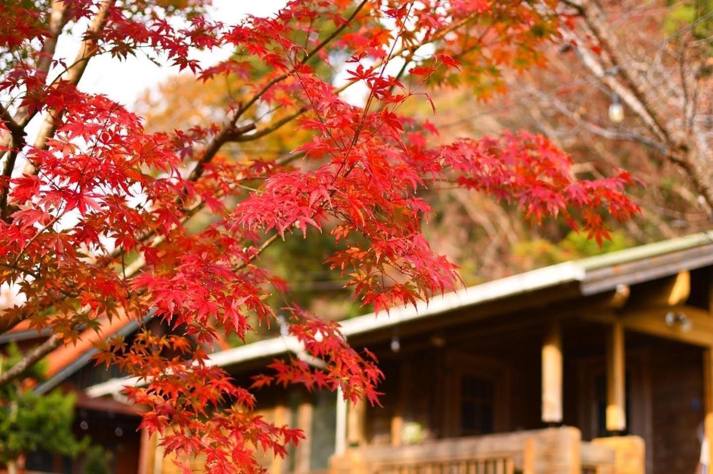 Sunny Side Cottage Shimoda  Bagian luar foto